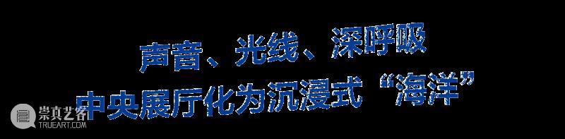 2月12日起中央展厅新展开幕！“卡罗莱娜·凯塞多：鲸鱼的致敬” 全球首发！ 崇真艺客