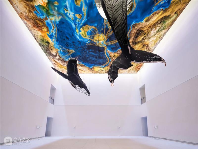 2月12日起中央展厅新展开幕！“卡罗莱娜·凯塞多：鲸鱼的致敬” 全球首发！ 崇真艺客