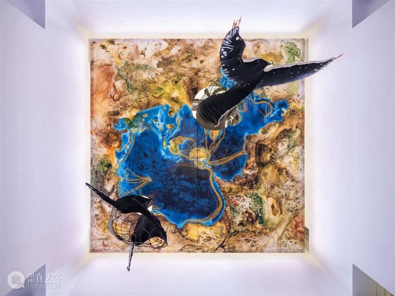 2月12日起中央展厅新展开幕！“卡罗莱娜·凯塞多：鲸鱼的致敬” 全球首发！ 崇真艺客