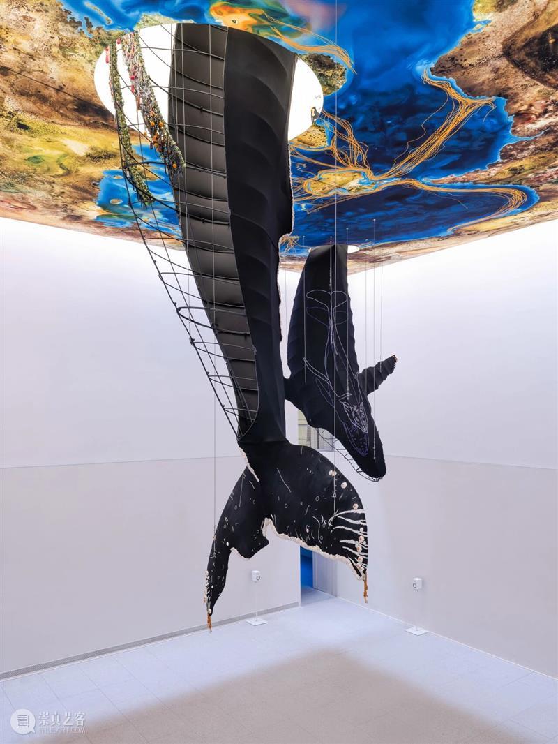 2月12日起中央展厅新展开幕！“卡罗莱娜·凯塞多：鲸鱼的致敬” 全球首发！ 崇真艺客