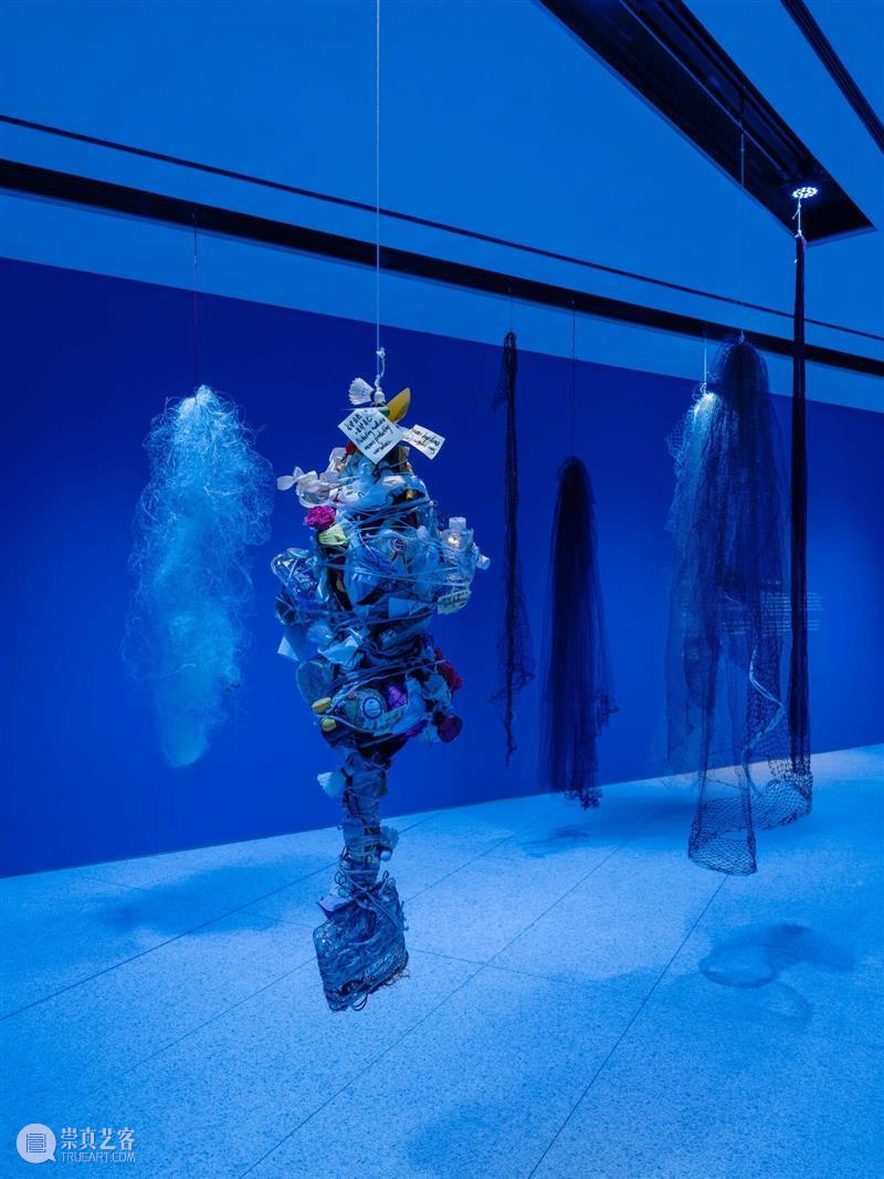 2月12日起中央展厅新展开幕！“卡罗莱娜·凯塞多：鲸鱼的致敬” 全球首发！ 崇真艺客