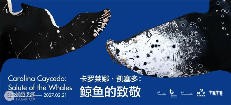 艺马当先｜浦美春节期间不闭馆！超多活动&光影大秀承包春节精彩！ 崇真艺客