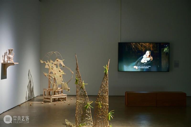 SPURS Gallery马刺画廊｜2025年度回顾 崇真艺客