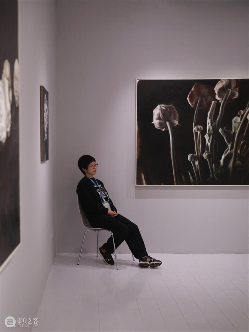 M艺术空间展览现场&访谈 | 56号展位 M010 赵舒燕 BoothM56 ZHAO Shuyan 崇真艺客