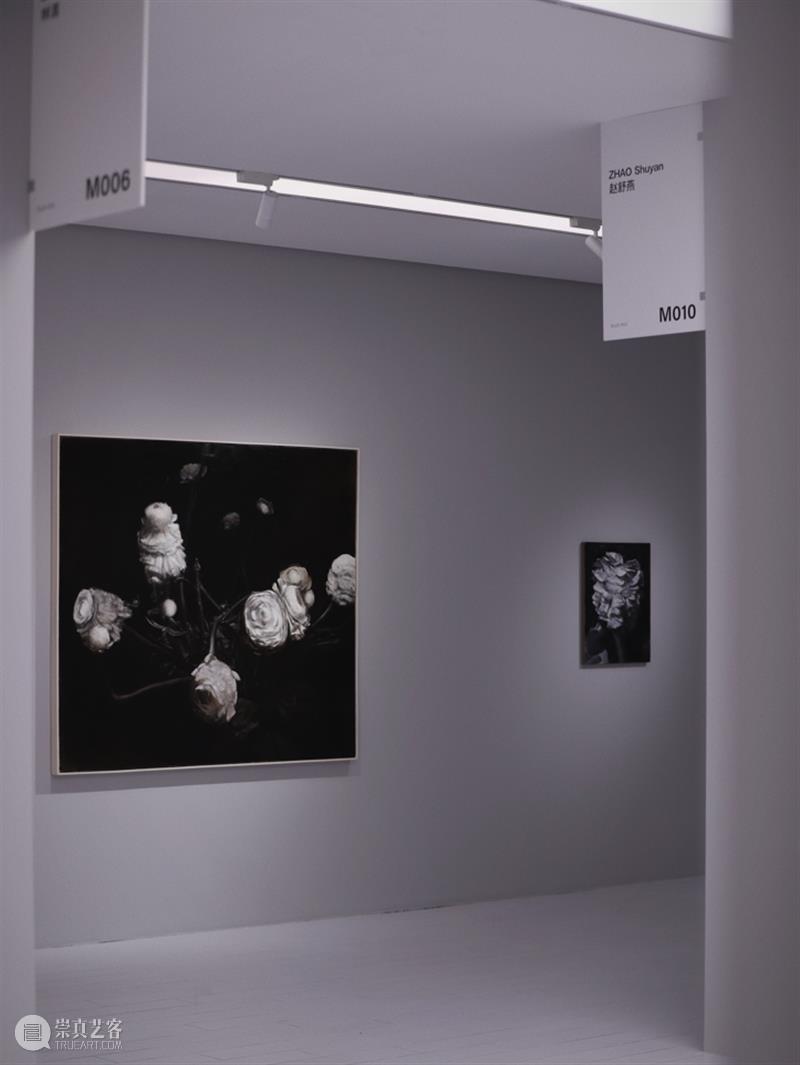 M艺术空间展览现场&访谈 | 56号展位 M010 赵舒燕 BoothM56 ZHAO Shuyan 崇真艺客