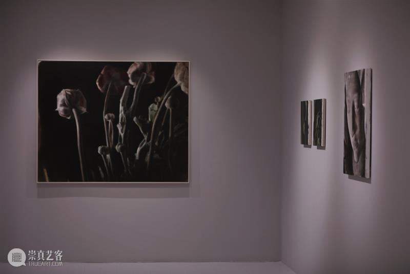 M艺术空间展览现场&访谈 | 56号展位 M010 赵舒燕 BoothM56 ZHAO Shuyan 崇真艺客