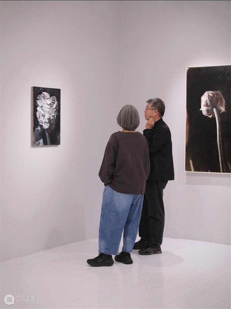 M艺术空间展览现场&访谈 | 56号展位 M010 赵舒燕 BoothM56 ZHAO Shuyan 崇真艺客