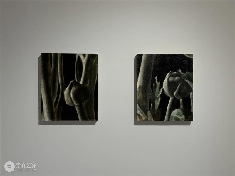 M艺术空间展览现场&访谈 | 56号展位 M010 赵舒燕 BoothM56 ZHAO Shuyan 崇真艺客