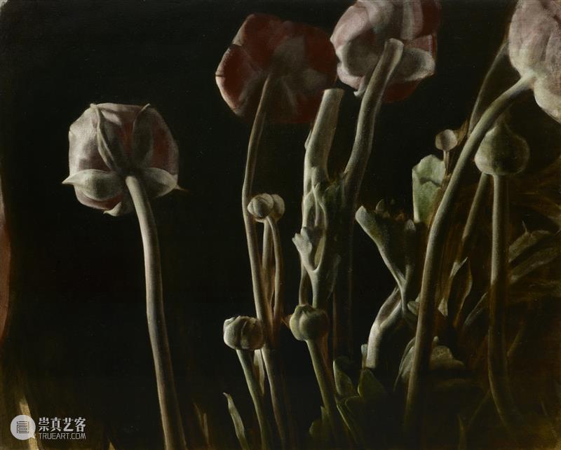 M艺术空间展览现场&访谈 | 56号展位 M010 赵舒燕 BoothM56 ZHAO Shuyan 崇真艺客