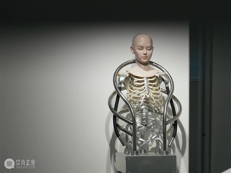 展览现场|「无尽起源 · 设定的虚无」当一切被提前设定,我们是否仍然选择前行? 崇真艺客