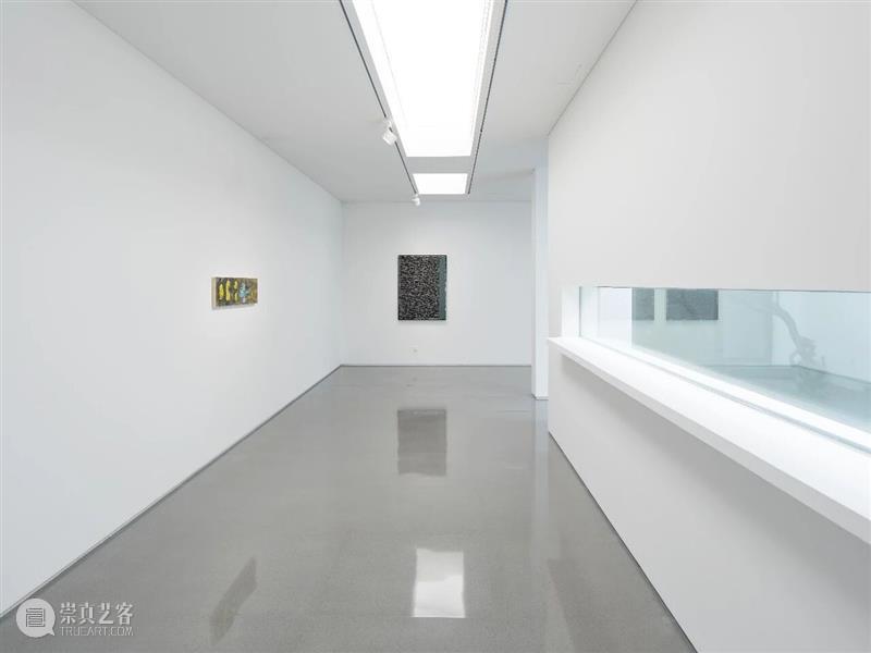 李山同名个展现场:生命现象是一串数字信息的传递 | 香格纳北京 崇真艺客