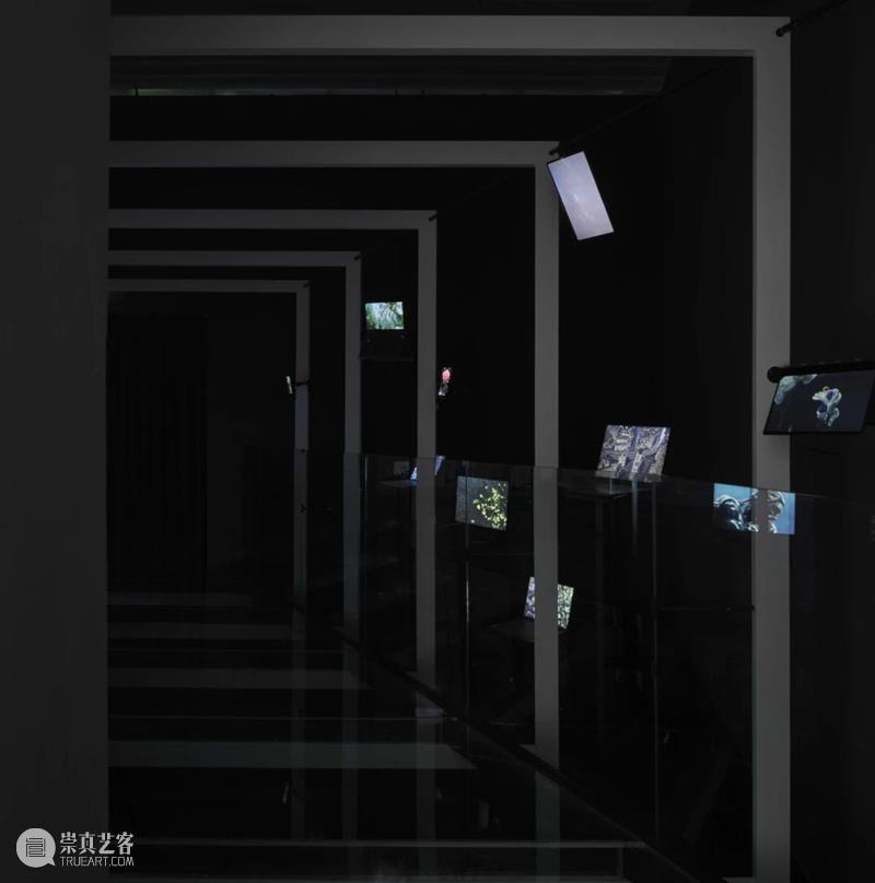 UCCA Lab丨从技术叙事到具身经验：“涌动的未来”艺术家论坛回顾 视频资讯  崇真艺客