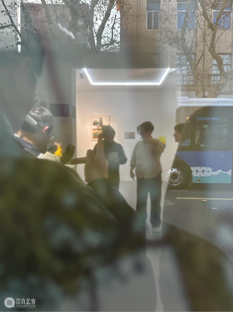 这是现场&.对话｜陈杭燕：因为树过于日常，过于理所当然 崇真艺客