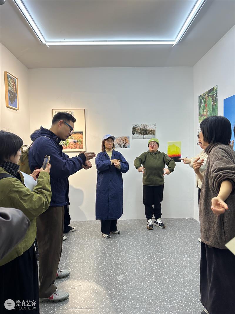 这是现场&.对话｜陈杭燕：因为树过于日常，过于理所当然 崇真艺客