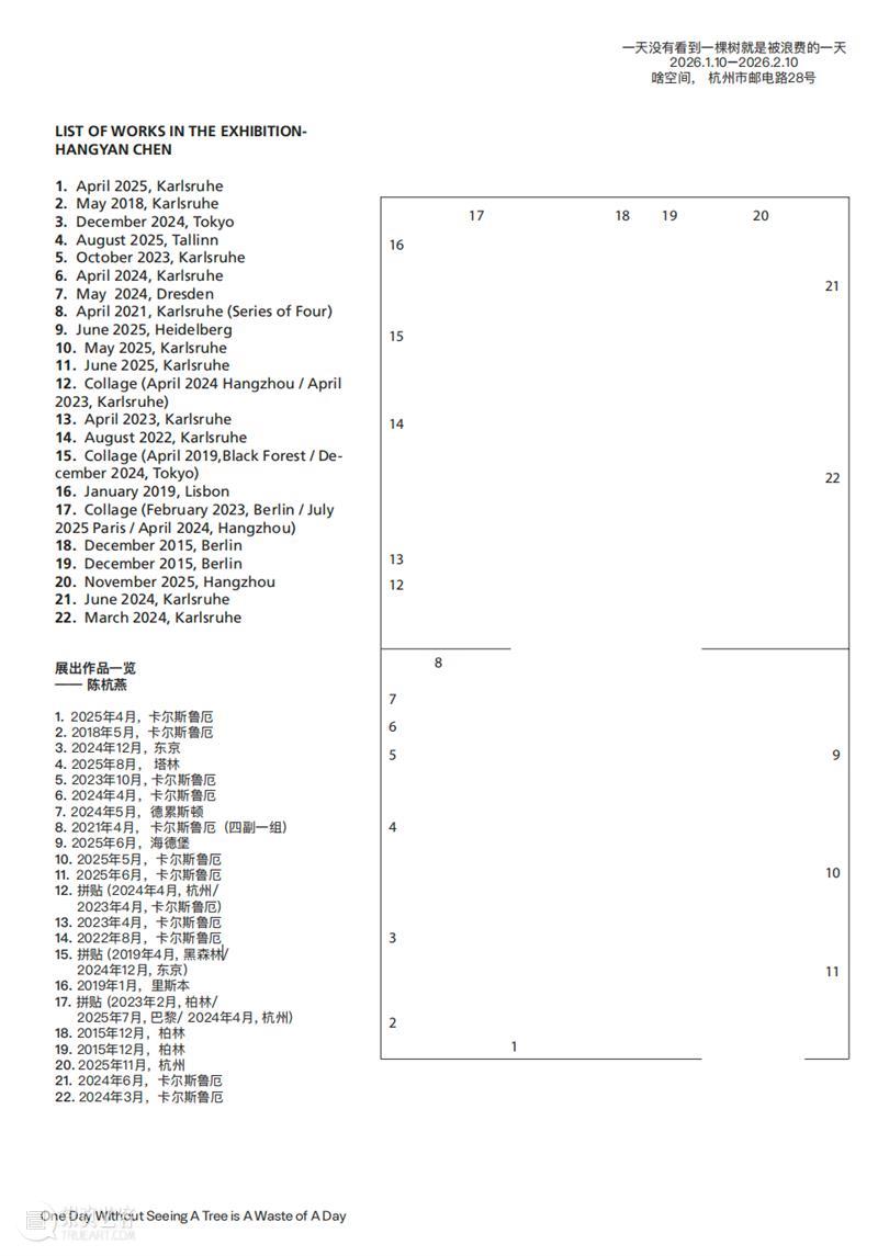 这是现场&.对话｜陈杭燕：因为树过于日常，过于理所当然 崇真艺客