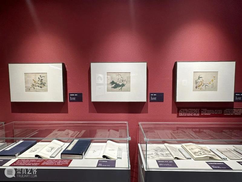 “墨润书香,刻绘古今——中国艺术典籍的览阅与传承”展览在朝阳区图书馆开幕 崇真艺客
