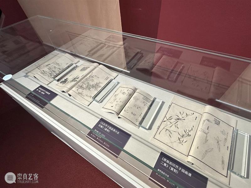 “墨润书香,刻绘古今——中国艺术典籍的览阅与传承”展览在朝阳区图书馆开幕 崇真艺客