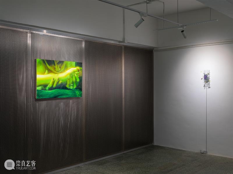 胶囊|2025年度项目回顾 崇真艺客