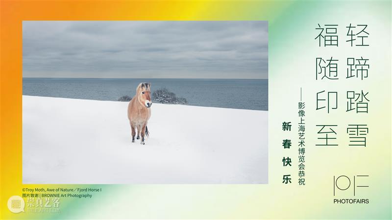 轻蹄踏雪，福随印至 崇真艺客