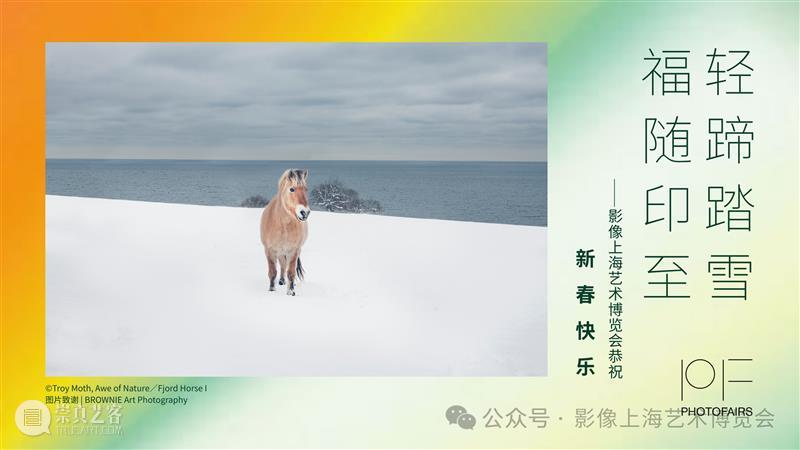 轻蹄踏雪，福随印至 崇真艺客