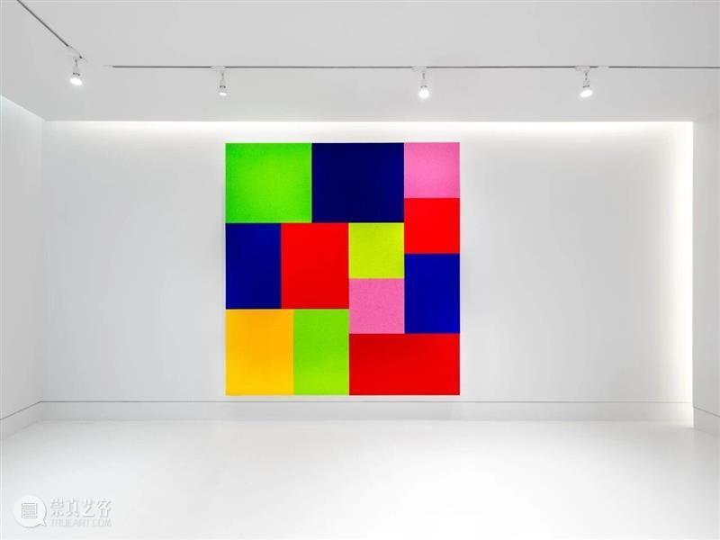 展览现场｜彼得·哈雷（Peter Halley）「近期绘画」@ 阿尔敏·莱希 - 摩纳哥 崇真艺客