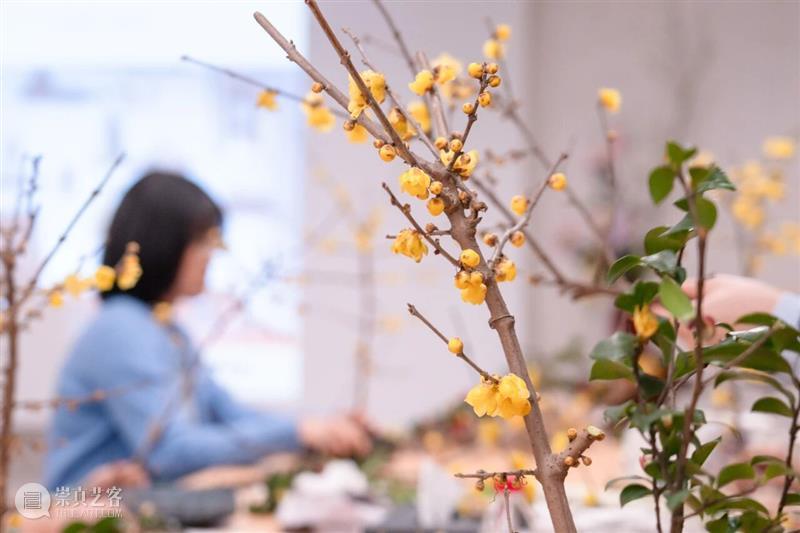 活动回顾 | 中式雅韵·新春插花工作坊——“岁朝清供”东方传统新年插花 崇真艺客