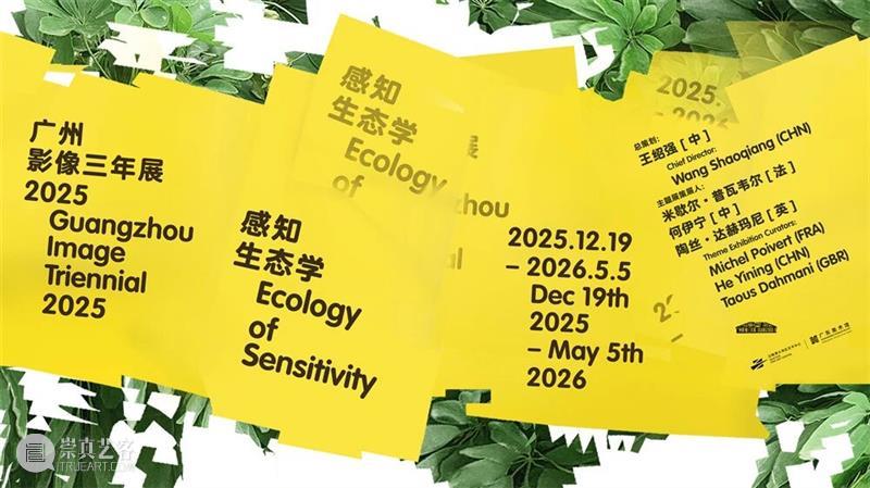 广州影像三年展2025 · 学术专论 | 米歇尔·普瓦韦尔：新模拟——模拟文化的转折点（Ⅰ）   崇真艺客