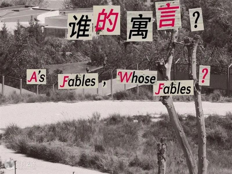 PF推荐 | 37场影像展，是时候一一赴约了   崇真艺客