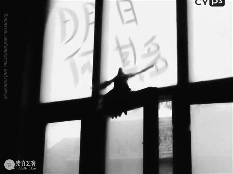 PF推荐 | 37场影像展，是时候一一赴约了   崇真艺客