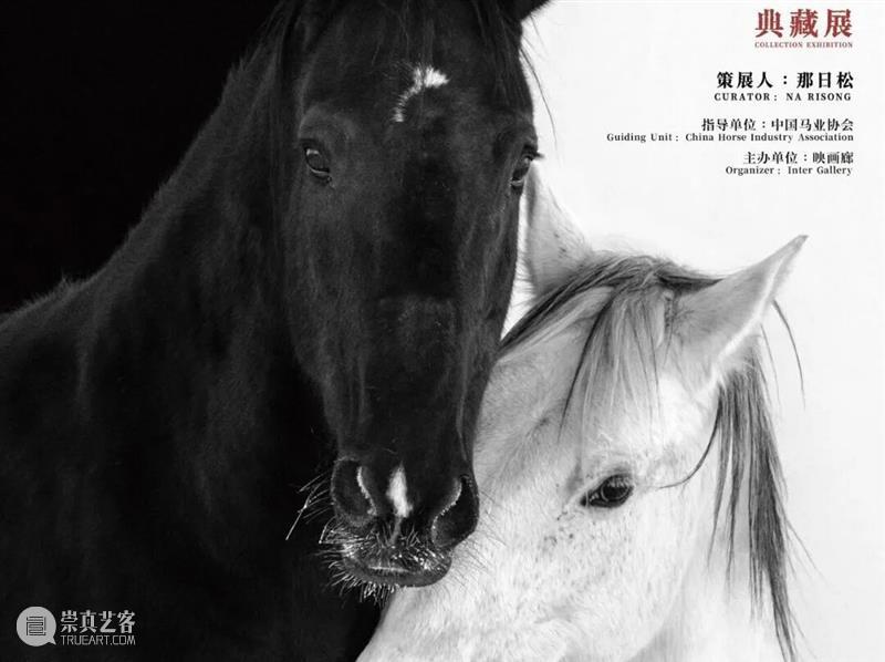 PF推荐 | 37场影像展，是时候一一赴约了   崇真艺客