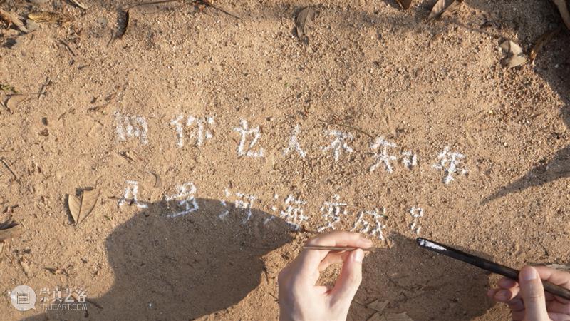 竹蜂蛀孔、红火蚁迁徙……重新看见被忽略的生命 视频资讯  崇真艺客