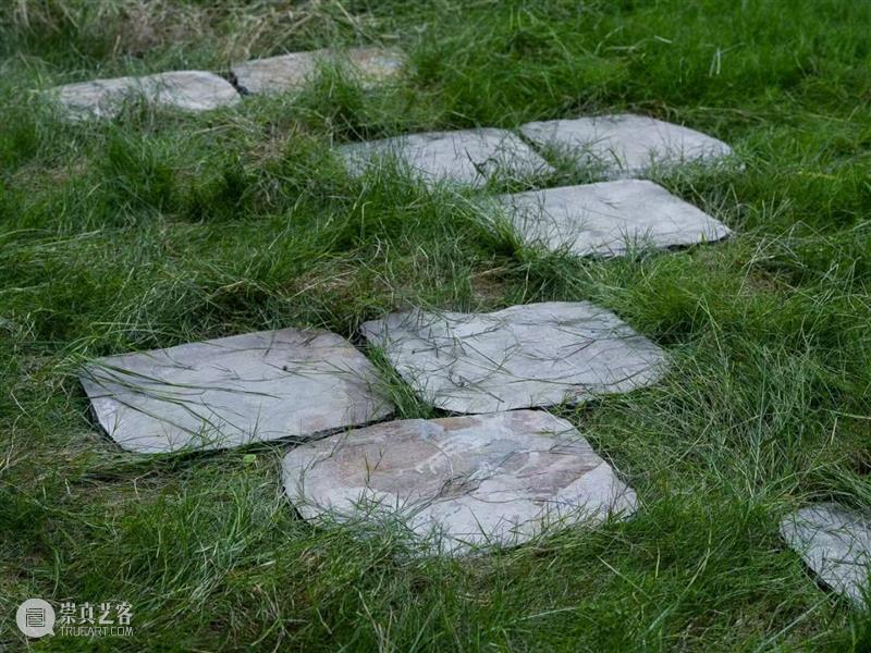 竹蜂蛀孔、红火蚁迁徙……重新看见被忽略的生命 视频资讯  崇真艺客