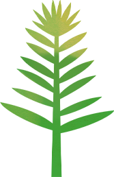 植树节亲子活动｜什么！误闯成龙大哥的《熊猫计划》，这个周末带娃穿越野人部落！ 崇真艺客