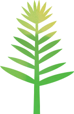 植树节亲子活动｜什么！误闯成龙大哥的《熊猫计划》，这个周末带娃穿越野人部落！ 崇真艺客
