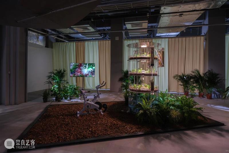 香格纳西岸中环 | 展览&项目回顾 崇真艺客