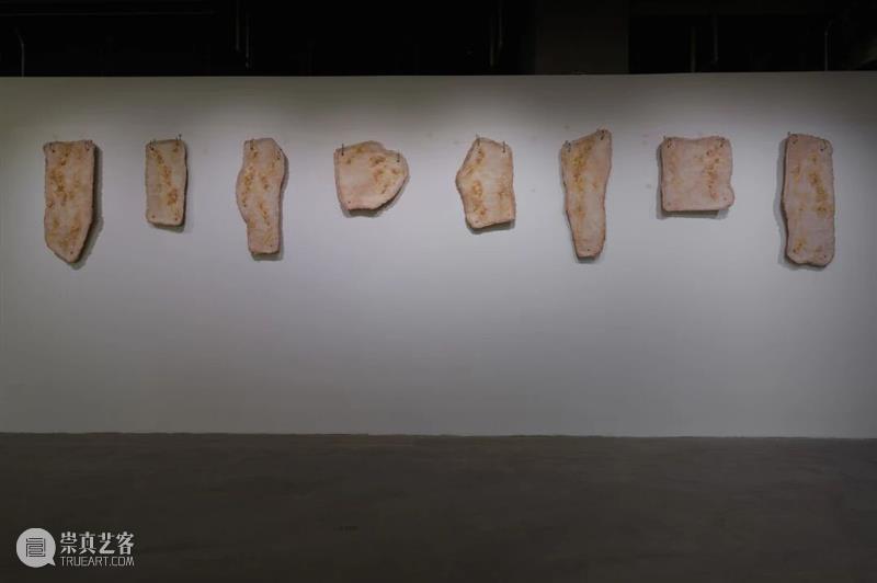 香格纳西岸中环 | 展览&项目回顾 崇真艺客