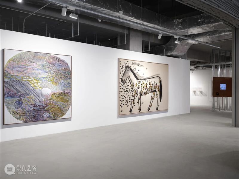 香格纳西岸中环 | 展览&项目回顾 崇真艺客