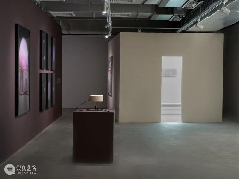 香格纳西岸中环 | 展览&项目回顾 崇真艺客