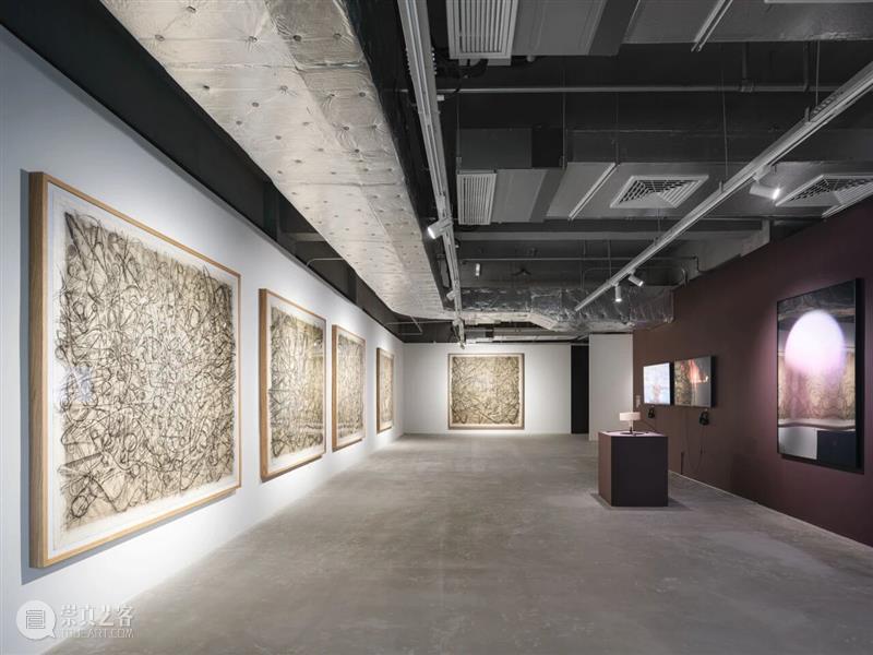 香格纳西岸中环 | 展览&项目回顾 崇真艺客