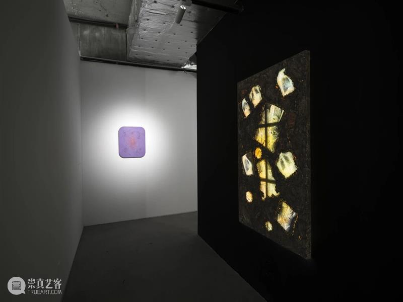 香格纳西岸中环 | 展览&项目回顾 崇真艺客