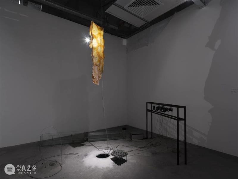 香格纳西岸中环 | 展览&项目回顾 崇真艺客
