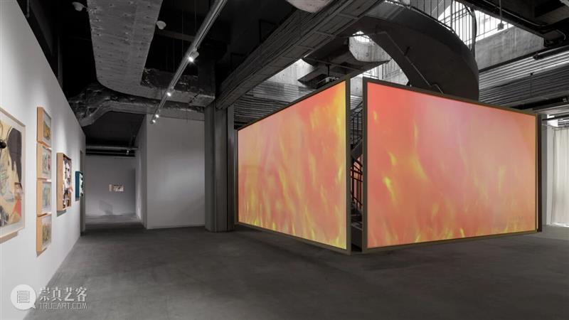 香格纳西岸中环 | 展览&项目回顾 崇真艺客