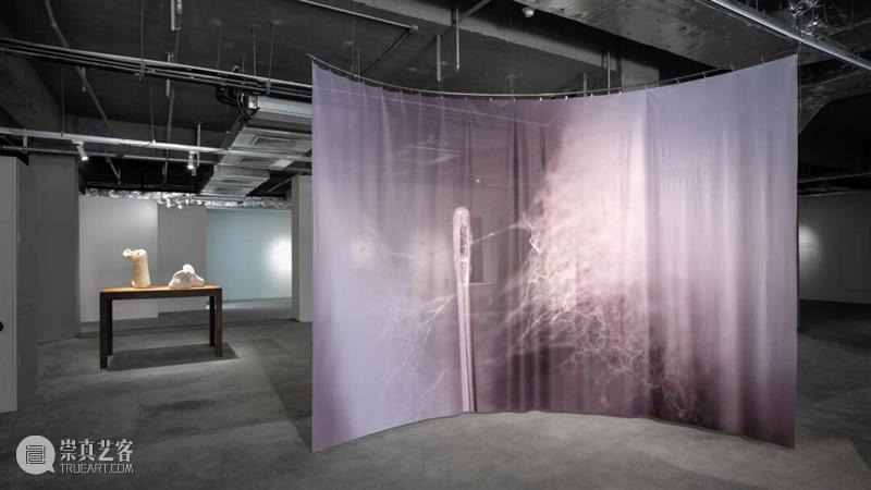 香格纳西岸中环 | 展览&项目回顾 崇真艺客