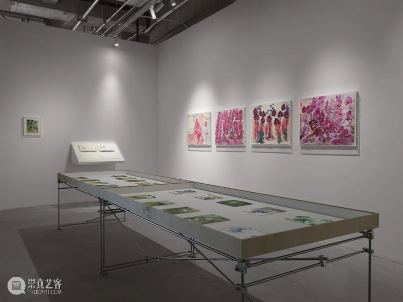 香格纳西岸中环 | 展览&项目回顾 崇真艺客