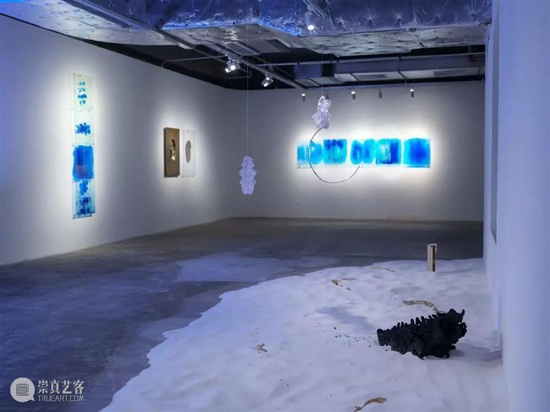 香格纳西岸中环 | 展览&项目回顾 崇真艺客