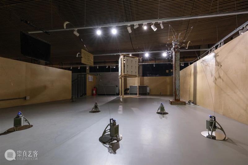 香格纳西岸中环 | 展览&项目回顾 崇真艺客