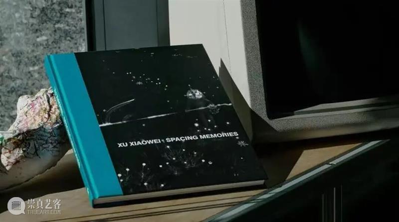 徐晓伟:把合理拼成不合理,隐秘在角落里的时代荒诞 崇真艺客