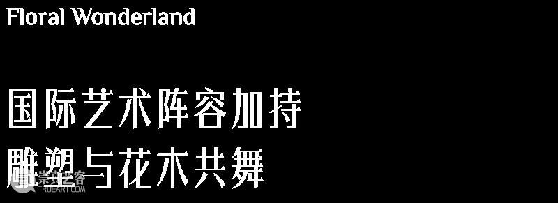 HOW新闻 | 昊美术馆携19件雕塑作品亮相“奇花艺境” 视频资讯 昊美术馆（上海） 崇真艺客