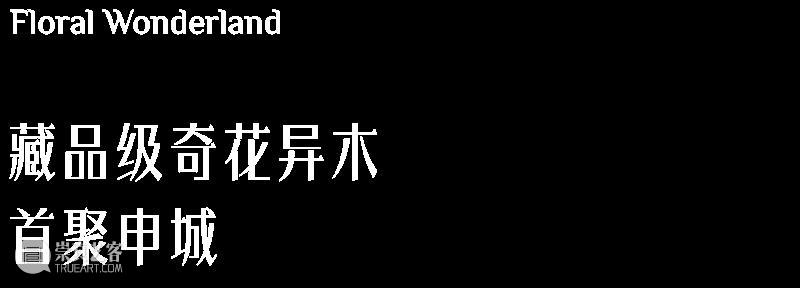 HOW新闻 | 昊美术馆携19件雕塑作品亮相“奇花艺境” 视频资讯 昊美术馆（上海） 崇真艺客