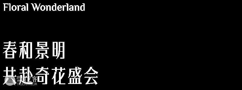 HOW新闻 | 昊美术馆携19件雕塑作品亮相“奇花艺境” 视频资讯 昊美术馆（上海） 崇真艺客